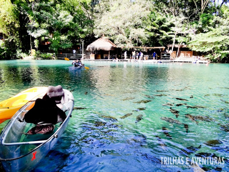 Os barcos para passeio no lago tem fundo transparente!